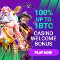 Metaspins bookmaker